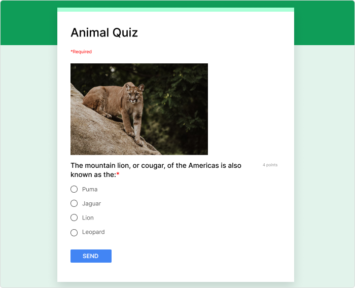 Google Forms + Fluabroo - Program do tworzenia quizów